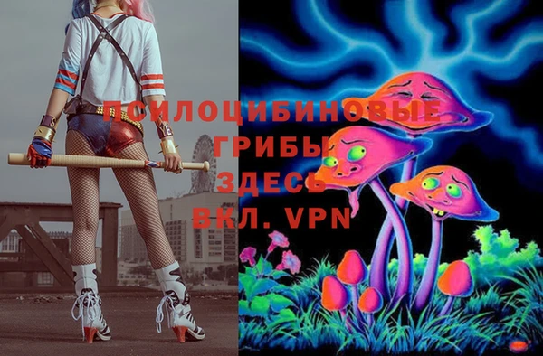 a pvp Михайлов