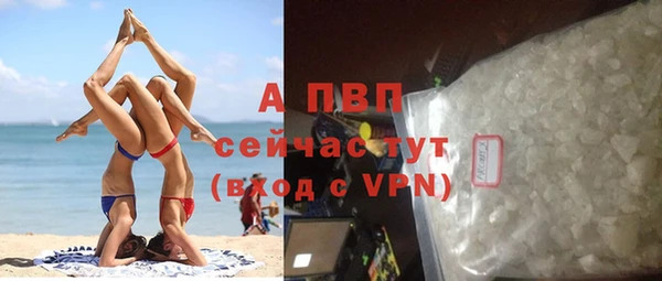прущие крисы Медвежьегорск