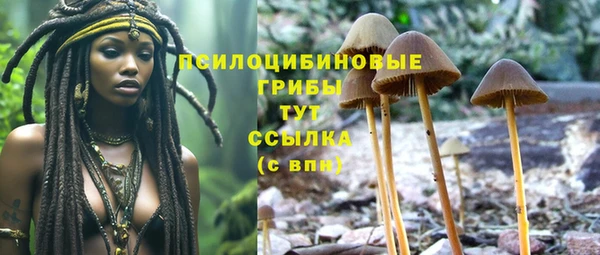 a pvp Михайлов