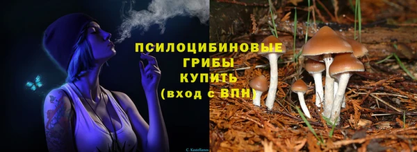 прущие крисы Михайловск