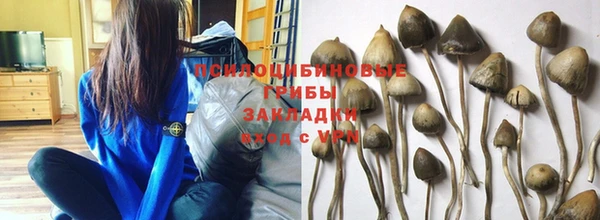 МДПВ Михайловка