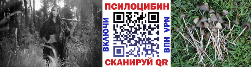 omg онион  Ишимбай  Псилоцибиновые грибы Psilocybine cubensis 